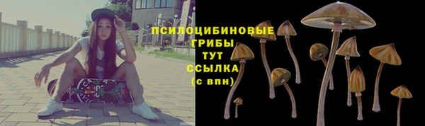 spice Абаза