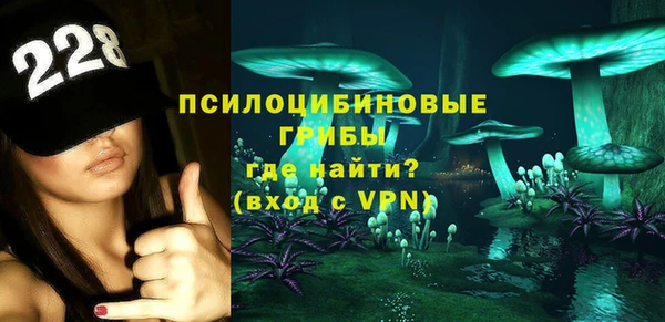 прущие грибы Новокубанск