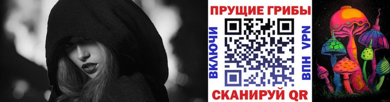 дарнет шоп  Челябинск  Псилоцибиновые грибы Cubensis 
