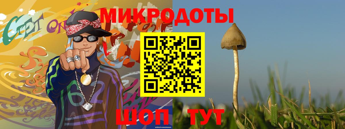 Галлюциногенные грибы прущие грибы Челябинск